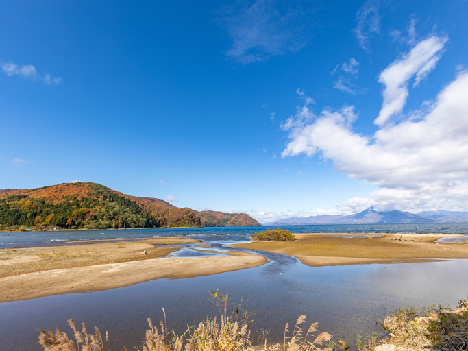 青松ケ浜